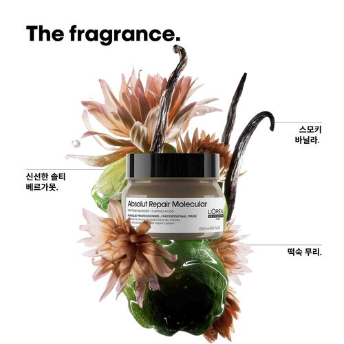 앱솔루트 리페어 몰큘러 마스크 - 로레알 프로페셔널 | L'Oréal 파트너샵